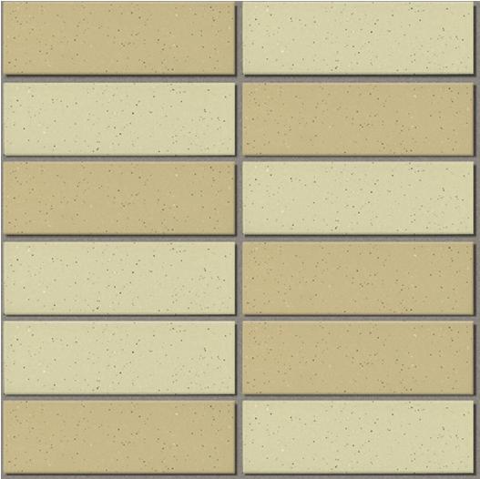 355/Eac-Earth Color Border