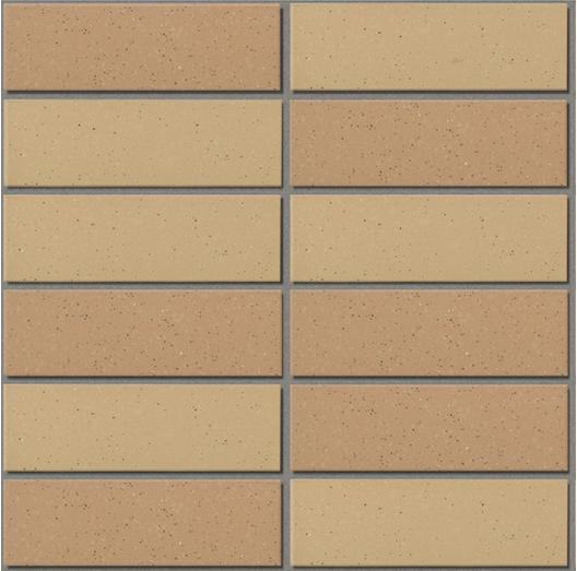 355/Eac-Earth Color Border