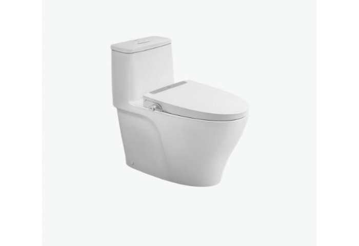 Bồn Cầu 1 Khối Kết Hợp Nắp Rửa Cơ AC-989+CW-S32VN